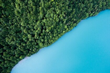 bird's eye view photography of trees and body of water